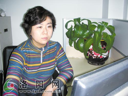 洛阳晨报