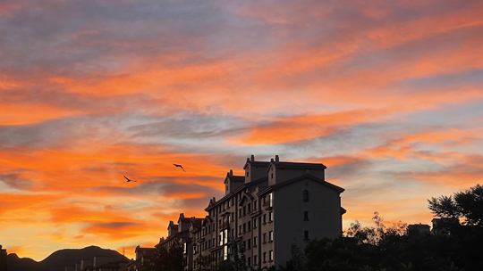 ��������Ԥ��һ��